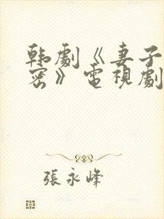 韩剧《妻子的秘密》电视剧全集