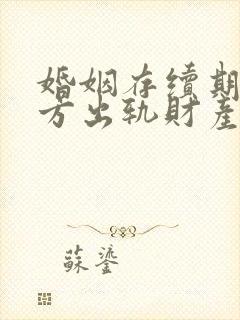 婚姻存续期间一方出轨财产分割