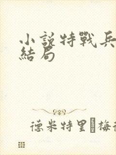 小说特战兵王大结局