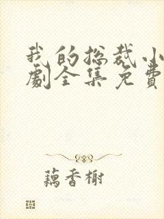 我的总裁小姨短剧全集免费播放
