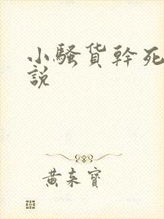 小骚货干死你小说封面