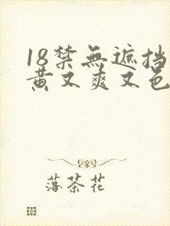 18禁无遮挡又黄又爽又色