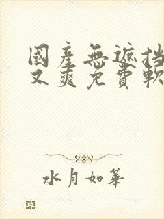 国产无遮挡又黄又爽免费软件