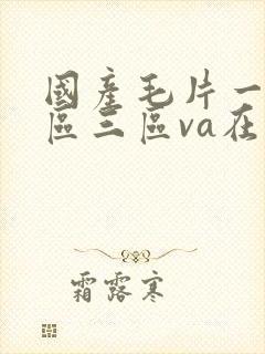 国产毛片一区二区三区va在线