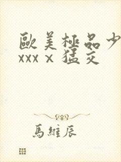 欧美极品少妇xxxxⅹ猛交