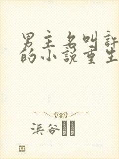 男主名叫许砚清的小说重生文推荐