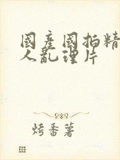 国产国拍精品成人乱理片