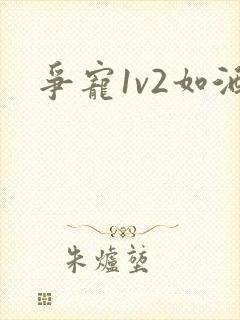 争宠1v2如酒