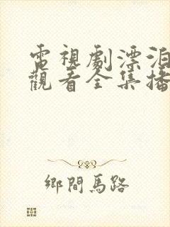 电视剧漂泊免费观看全集播放