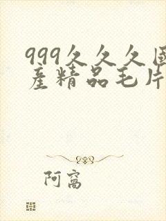 999久久久国产精品毛片