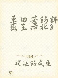 单田芳的评书《燕王扫北》