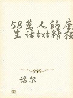58万人的唐朝生活txt精校版