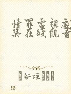 情罪电视剧40集在线观看免费