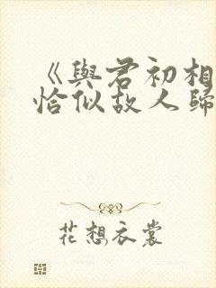 《与君初相识·恰似故人归封面
