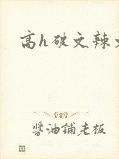 高h破文辣文封面