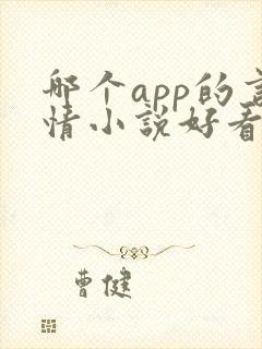 哪个app的言情小说好看