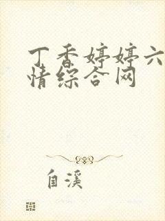 丁香婷婷六月激情综合网