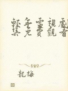 轻年电视剧40集免费观看全集
