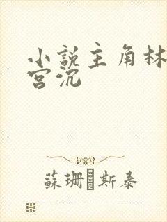 小说主角林知意宫沉