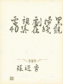 电视剧扫黑风暴40集在线观看免费
