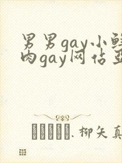 男男gay小鲜肉gay网站亚洲