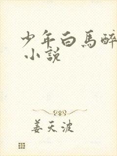 少年白马醉春风 小说