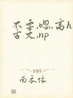 不要,嗯,高h古文,np