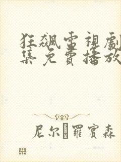 狂飙电视剧40集免费播放在线观看