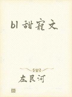 bl 甜宠文封面