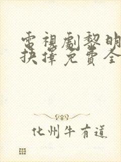 电视剧黎明前的抉择免费全集播放