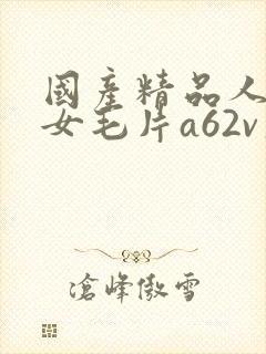 国产精品人妻熟女毛片a62v久久
