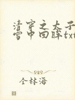 清穿之太子娇妃雪中回眸txt
