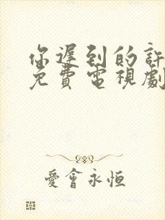 你迟到的许多年免费电视剧