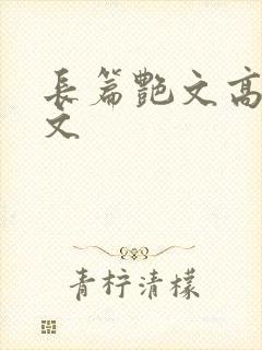 长篇艳文高辣h文封面