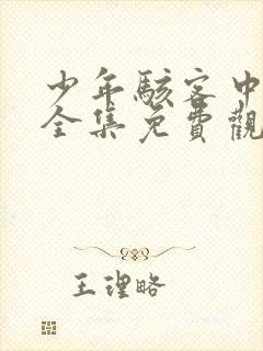 少年骇客中文版全集免费观看