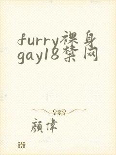 furry裸身gay18禁网