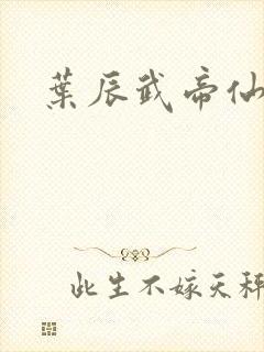 叶辰武帝仙尊