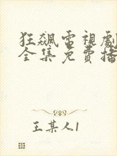 狂飙电视剧40全集免费播放