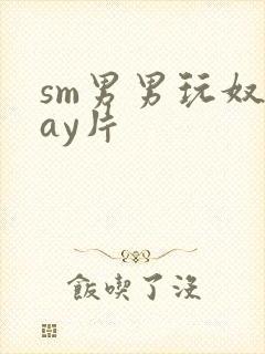 sm男男玩奴gay片