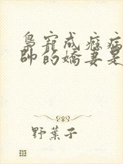 枭宠成瘾病娇少帅的娇妻是大佬txt封面