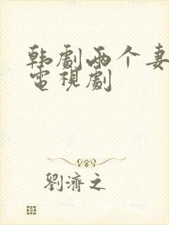 韩剧两个妻子的电视剧