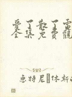 爱了散了电视剧全集免费观看韩剧封面