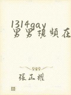 1314gay男男视频在线观看