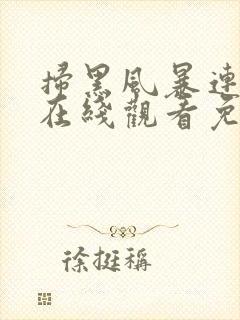 扫黑风暴连续剧在线观看免费完整版2021