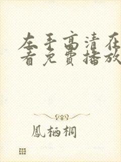 左手高清在线观看免费播放电视剧