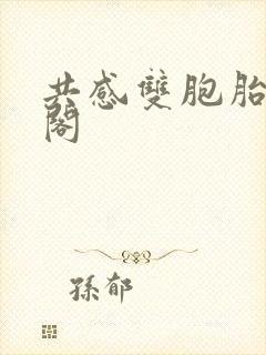 共感双胞胎笔趣阁