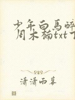 少年白马醉春风 周木楠txt下载