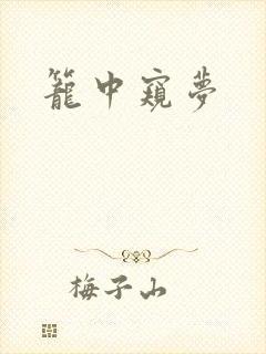 笼中窥梦