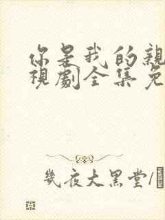 你是我的亲人电视剧全集免费观看