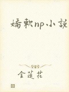 娇软np小说封面